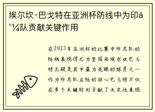 埃尔坎·巴戈特在亚洲杯防线中为印尼队贡献关键作用